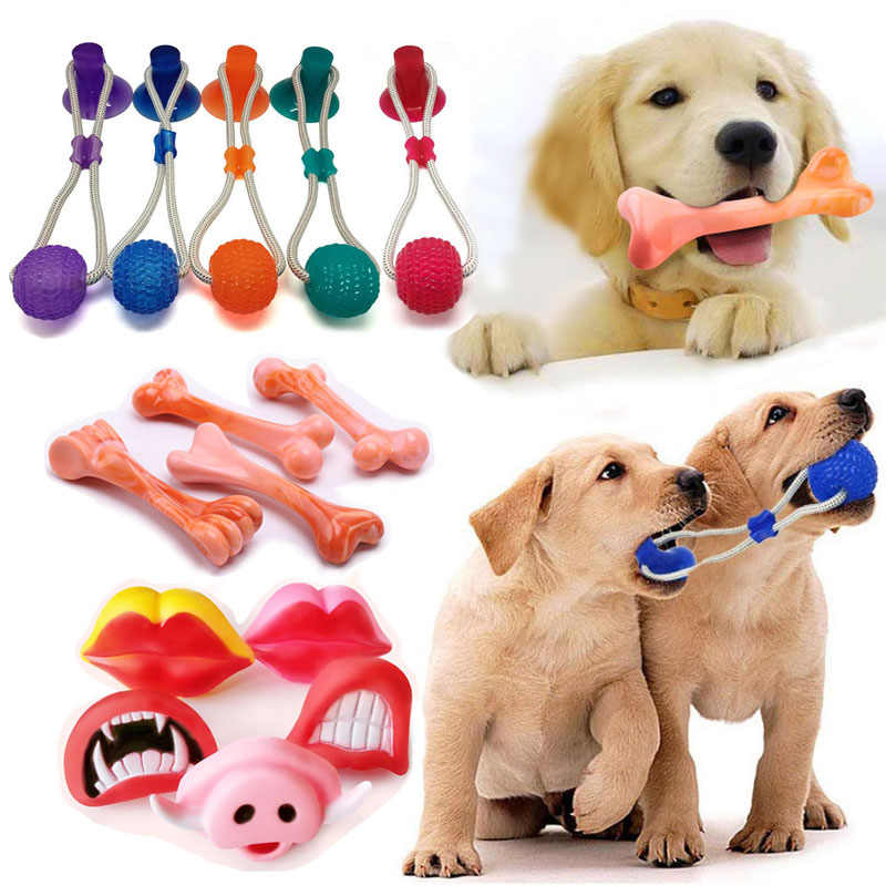 Đồ chơi cho chó là gì? Các món đồ chơi dành cho cún cưng - Mèo Cún