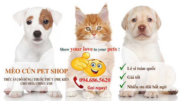 Bán buôn đồ chó mèo giá rẻ toàn quốc - Mèo Cún Pet Shop