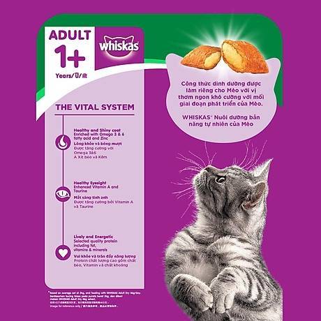 Công thức dinh dưỡng riêng cho Mèo lớn