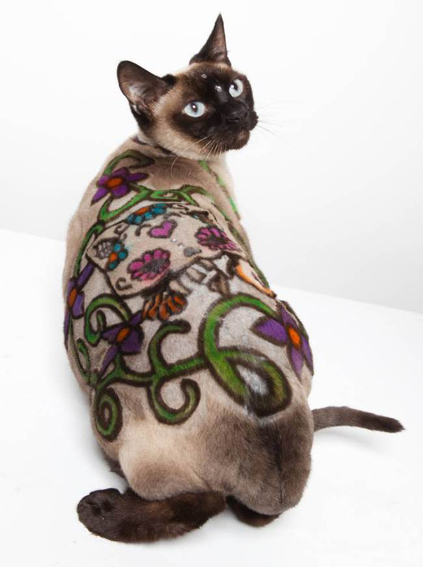 Chó mèo ngộ nghĩnh với nghệ thuật nhuộm lông tạo hình