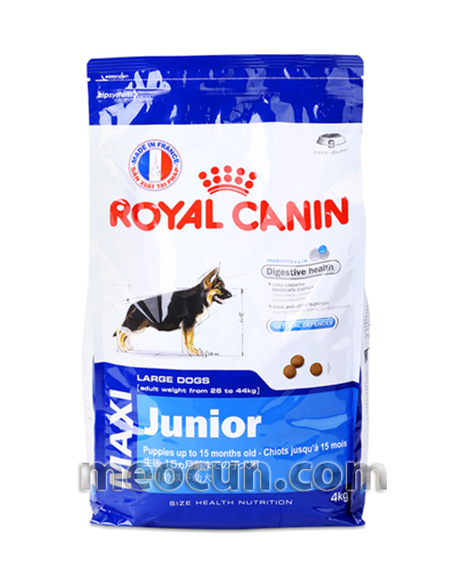 Thức ăn cho chó con giống lớn - thức ăn chó con Royal Canin Maxi Junio