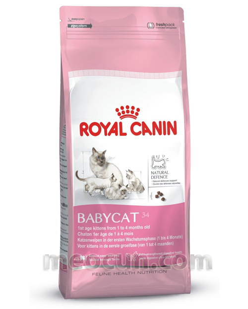 thức ăn cho mèo nuôi con Royal Canin BabyCat 34